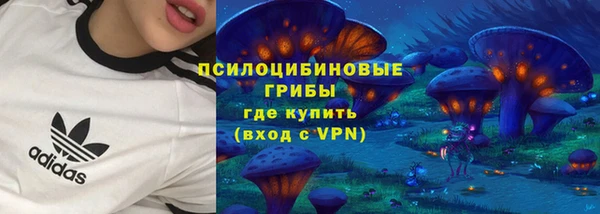спиды Аркадак