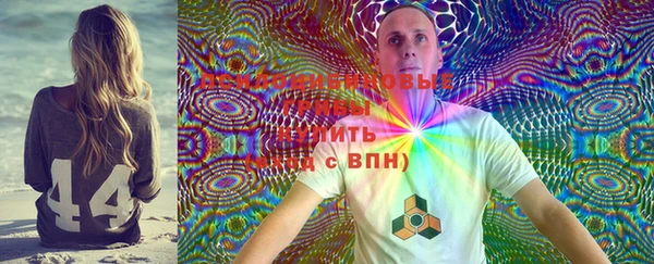 спиды Аркадак
